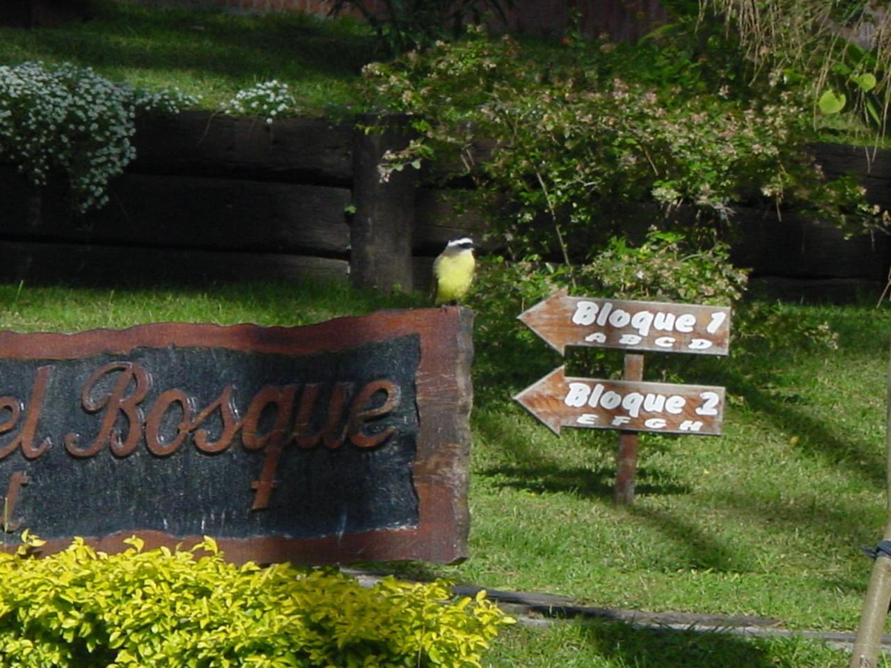 Refugio Del Bosque Vila Carilo Exterior foto