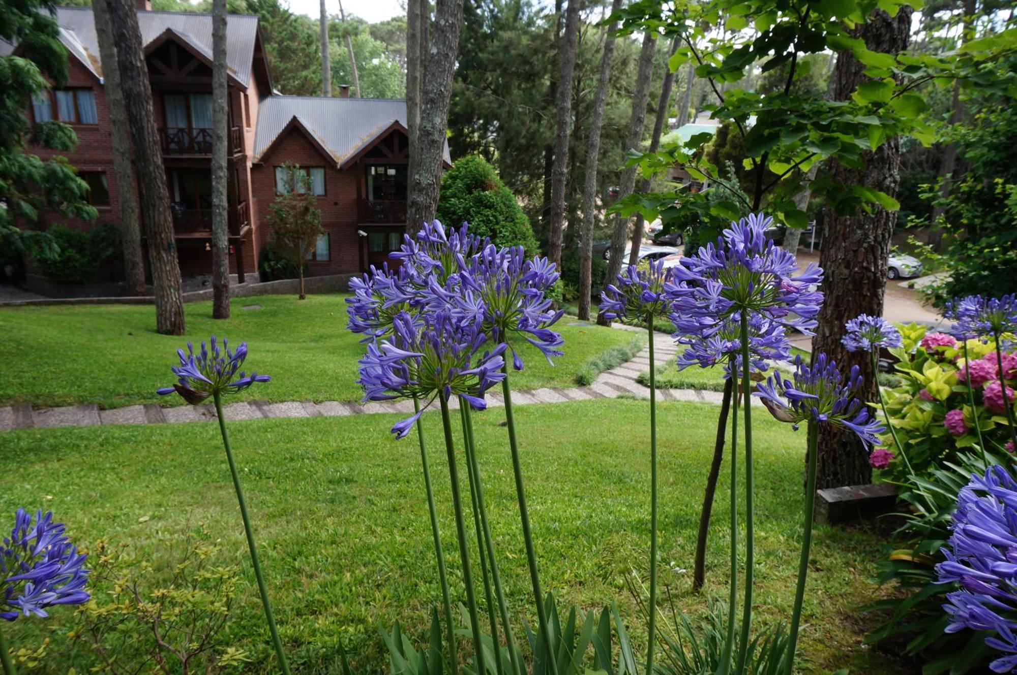 Refugio Del Bosque Vila Carilo Exterior foto